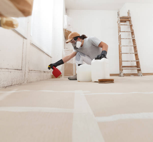 Trusted Coburg, OR Mold Removal Experts